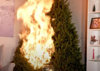 Aby choinka się świeciła, a nie paliła – radzi KW PSP Kraków