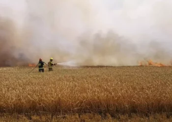 Pożar zboża i ścierniska w Sycowie