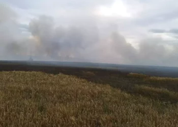 Pożar zboża i ścierniska w Sycowie