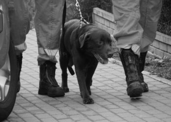 Odszedł Rodi – zasłużony ratownik SGPR ‘Warszawa-9’