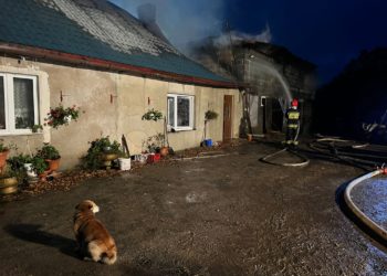 Pożar budynków w Smażynie. W akcji czternaście zastępów