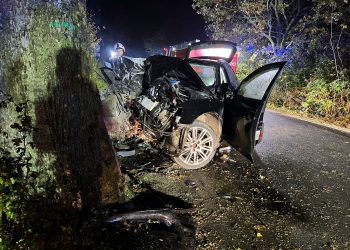 Groźny wypadek w powiecie lęborskim, audi rozbiło się o drzewo