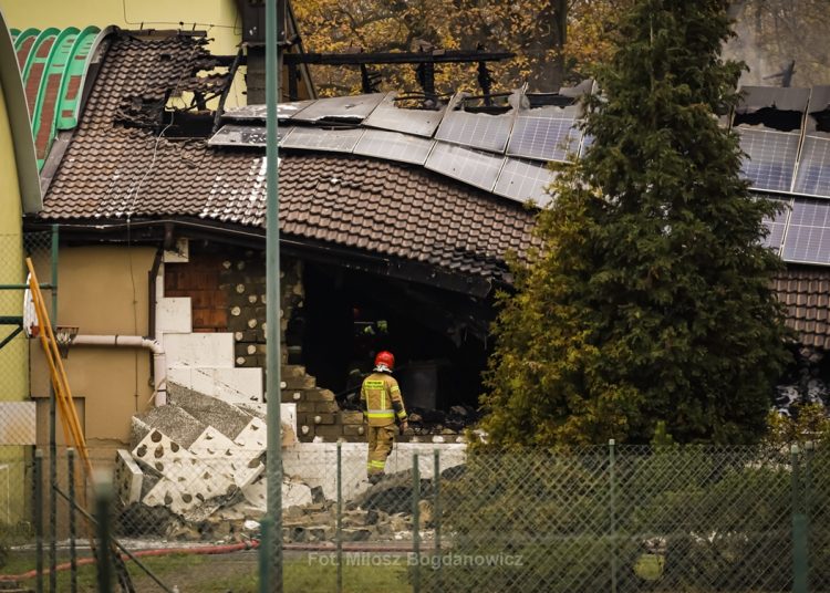 Foto. Miłosz Bogdanowicz