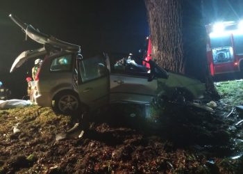 Tragiczny wypadek na DK 46 w pobliżu miejscowości Ścibórz