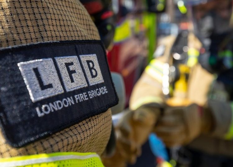 Foto. LFB