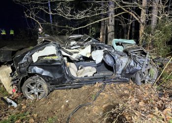 Śmiertelny wypadek na drodze krajowej nr 74 w Rudzie Malenieckiej