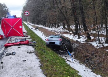 Śmiertelny wypadek na DW-815 w powiecie parczewskim