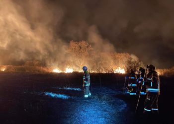 Pożar na byłym poligonie pod Dzikowem