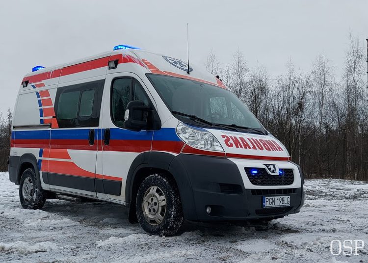 Foto. OSP Trzemeszno