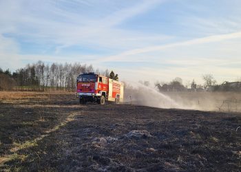 Zaczęło się. Strażacy gaszą pierwsze pożary traw