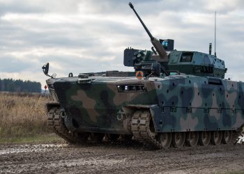 BORSUKI dla polskiej armii. Będzie wersja WEM