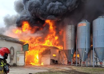 Pożar kurnika pod Gorzowem Wielkopolskim