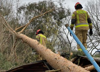 Wietrzny poniedziałek. Przeczytaj prognozę!