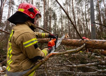 Alerty przed wichurami. Sprawdź, gdzie! [MAPA]