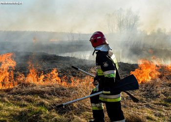Tylko wczoraj ponad 600 pożarów traw