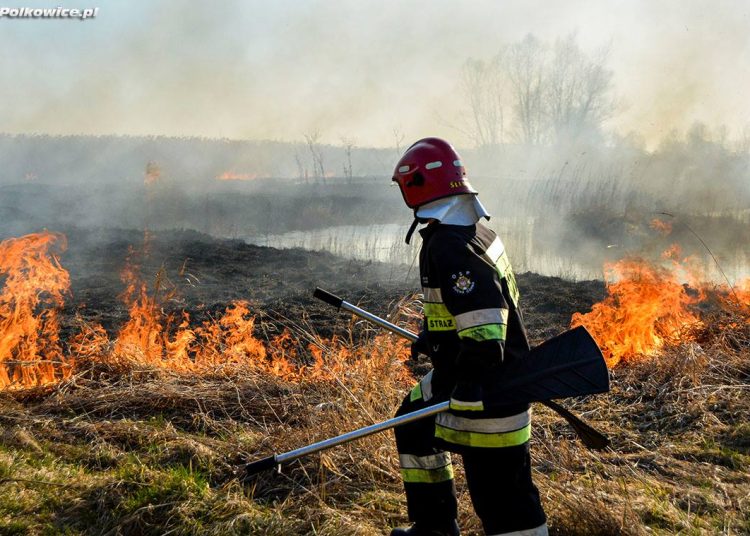 Foto. 112Polkowice.pl