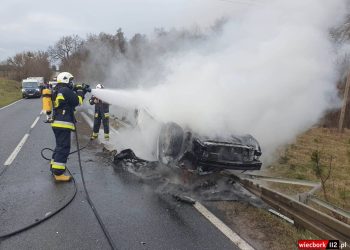 Dachowanie i pożar hybrydy na drodze krajowej nr 25