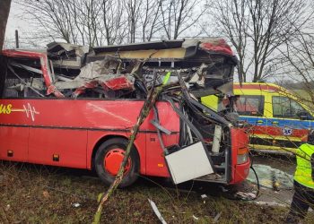 Autobus szkolny uderzył w drzewo. Jedna osoba ranna