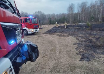 Działania saperów w Czerwonym Borze zakończone akcją strażaków
