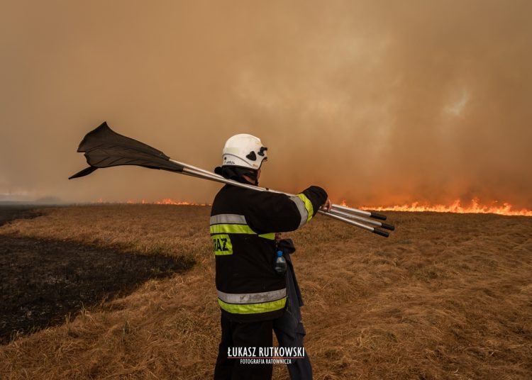 Foto. Łukasz Rutkowski