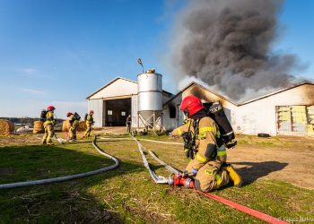 Pożar kurników w Krynicy. Zginęło tysiące kurczaków [FOTO]