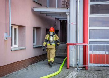 Ważny raport dla strażaków przetłumaczony. WOP wprowadzi zalecenia