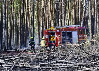 Pożar lasu na terenie Leśnictwa Czapliniec