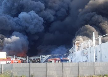 Ogromny pożar hali w Niwnicy. W akcji stu strażaków