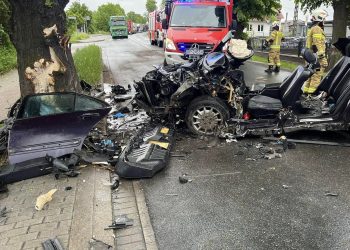 Uderzył w drzewo. Był pod wpływem alkoholu i środków odurzających