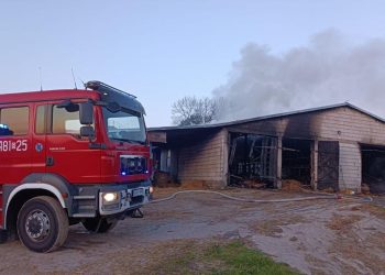 Pożar obory w miejscowości Kizielany. Zginęły zwierzęta