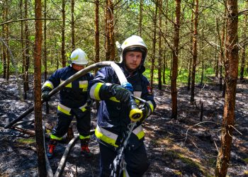 Pożary lasów w gminie Jarocin Interweniował samolot gaśniczy