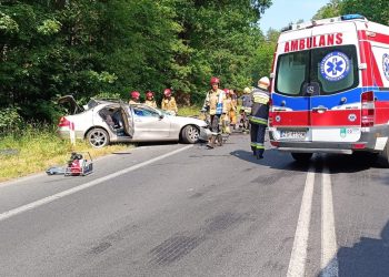 Policjant z synem zginęli w wypadku. Tragedia na DW112