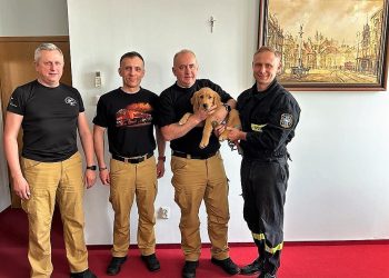 Nowy czworonożny ratownik w szeregach warszawskiej straży pożarnej