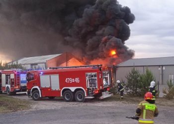 Pożar hali w miejscowości Dębe