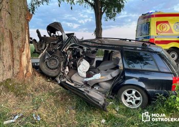 Dziecko zginęło w wypadku. Ojciec z zakazem prowadzenia