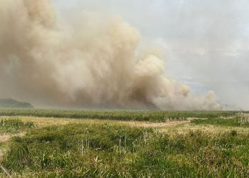 Pożar w Biebrzańskim Parku Narodowym. Kilkadziesiąt zastępów w akcji