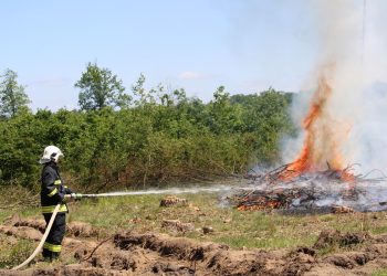 Ćwiczenia LAS 2023 na terenie Nadleśnictwa Gołąbki
