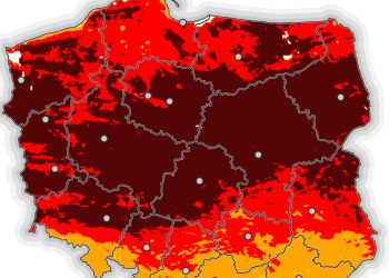 Ekstremalne zagrożenie pożarowe w lasach. Jutro nie będzie lepiej
