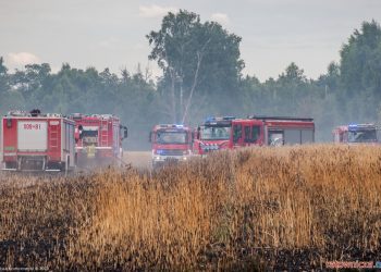 Duży pożar w gminie Pęczniew. W akcji strażacy i samolot gaśniczy