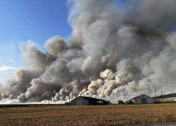 Duży pożar zboża w powiecie stargardzkim
