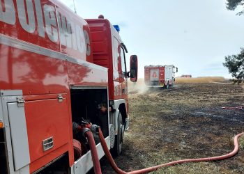 Duży pożar zboża na granicy dwóch województw
