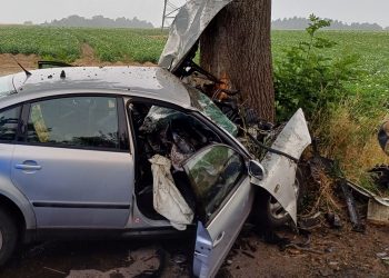 Osobówka uderzyła w drzewo. Kierowca nie przeżył