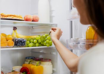 Tania lodówka marki Beko – który model do 1500 zł wybrać?