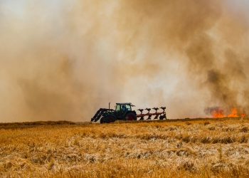 Pożar zboża na pniu w powiecie pleszewskim