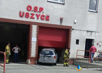Wjechała w bramę garażową OSP. Winna osa?