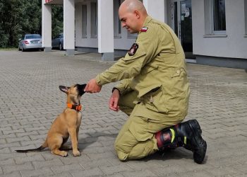 Nowa czworonożna ratowniczka SGPR ‘Gdańsk’