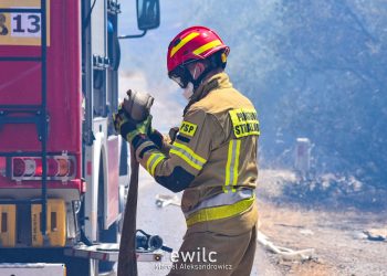 Przetarg na sprzęt dla modułów GFFFV