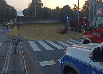 Kilkadziesiąt ton zboża na rondzie. Kierowca zasnął za kierownicą