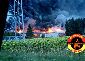 Tragiczny pożar hali na fermie świń pod Choszcznem