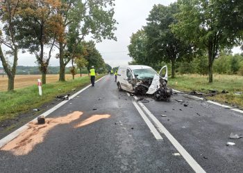 Śmiertelny wypadek w Gogołowicach. Wśród rannych dziecko